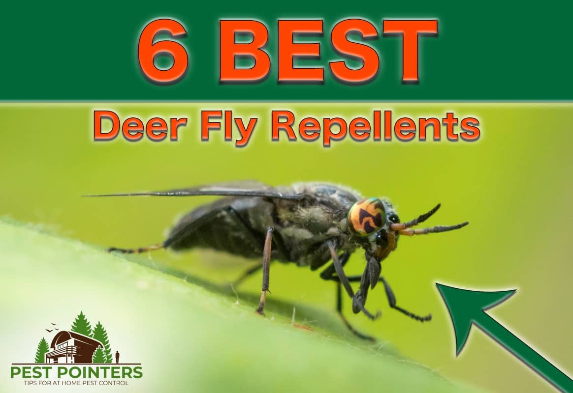 Deer Fly Repellent For Humans - Pest Phobia