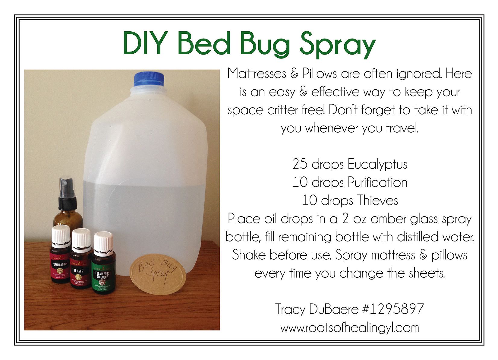 spray for bed bugs on mattress