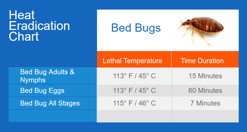 Temperature To Kill Bed Bug Eggs Pestphobia