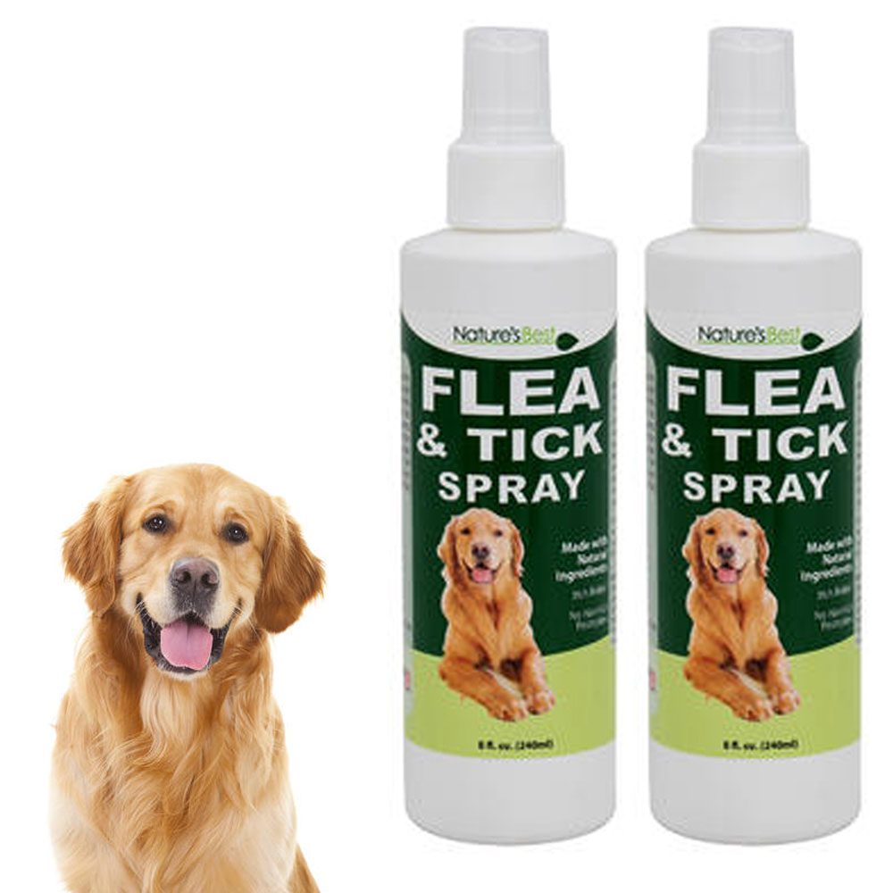 Best Natural Tick Repellent Dogs PestPhobia