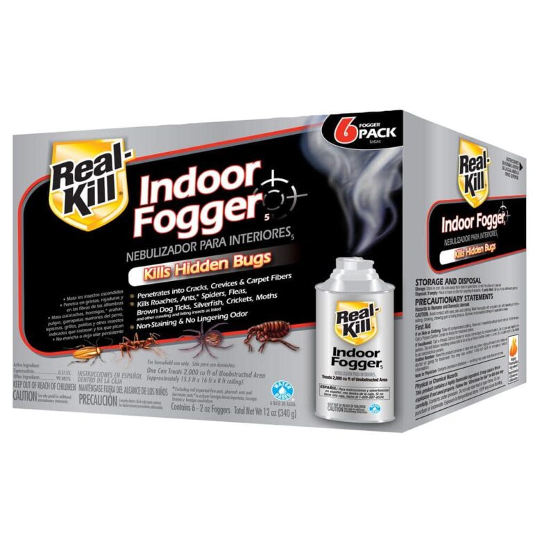 Bug Bomb For Car Ants PestPhobia