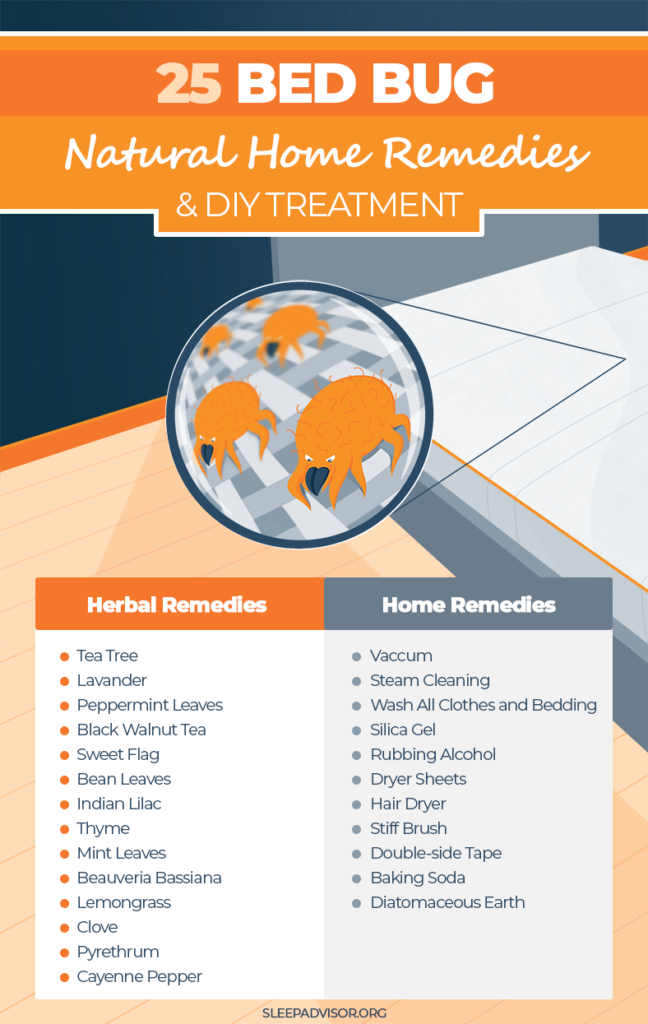 Home Remedies To Prevent Bed Bug Bites