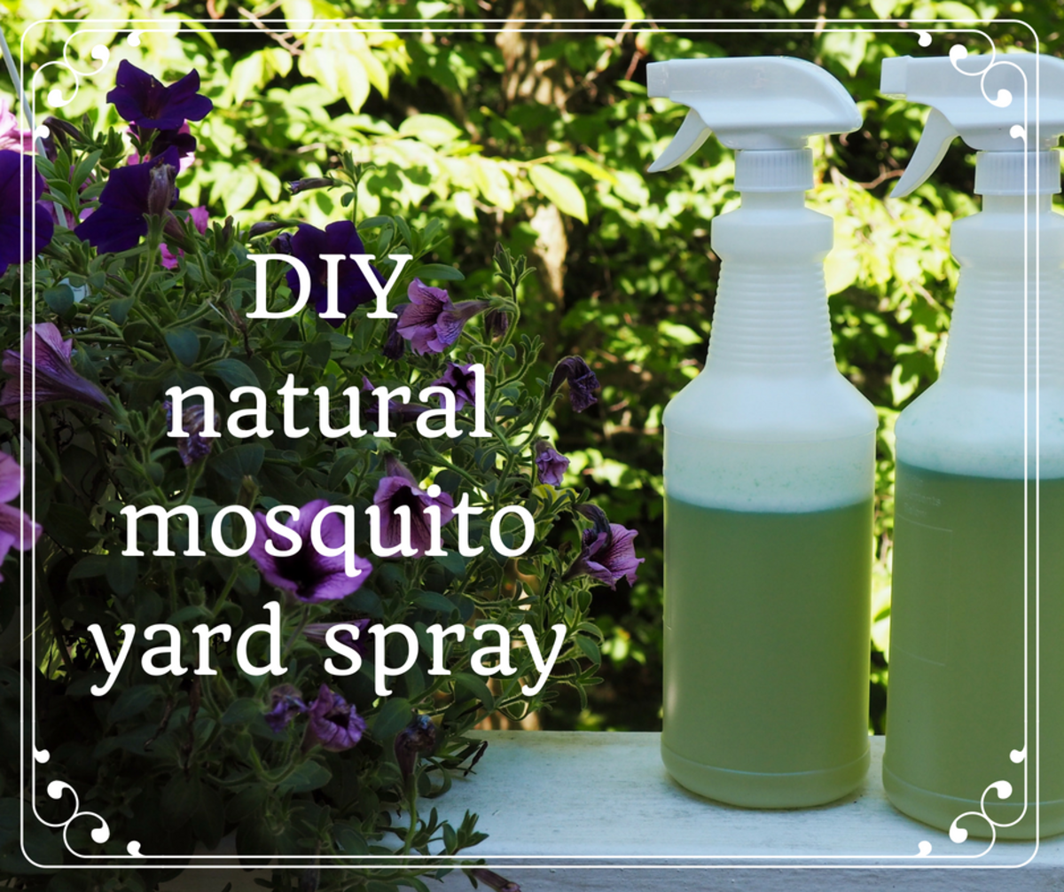 Homemade Mosquito Repellent For Yard PestPhobia