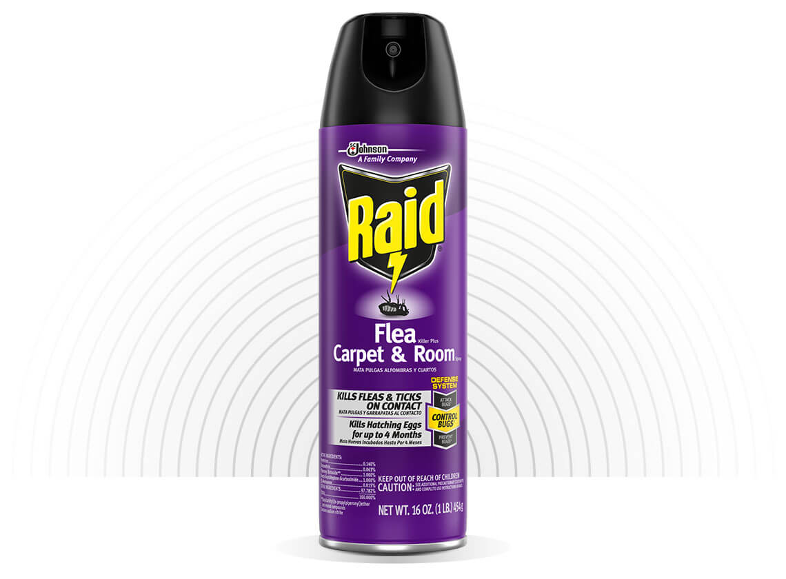 Insecticide For Carpets - Pest Phobia