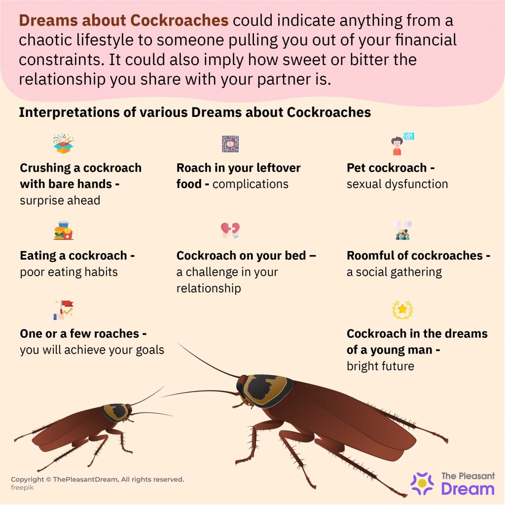 Dream Meaning of Cockroaches – Pest Phobia