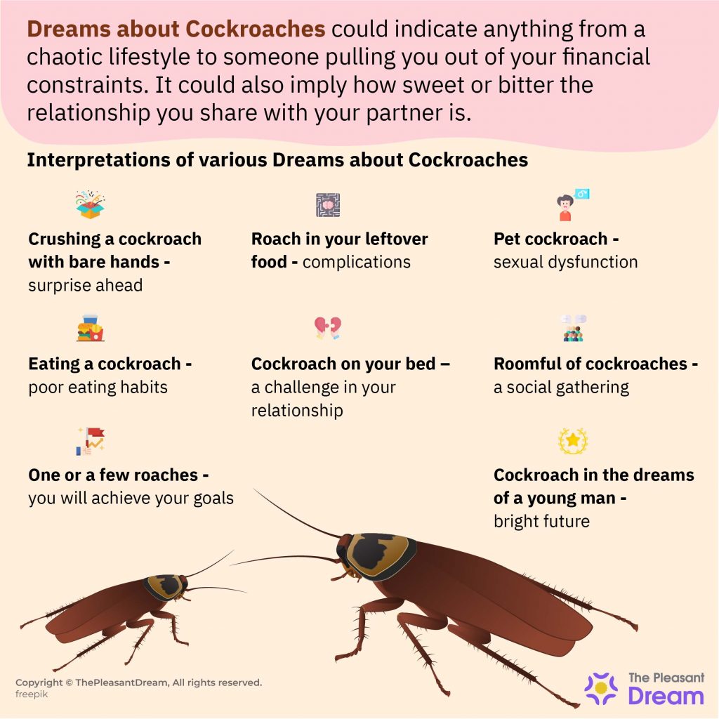 Dreaming About Cockroaches Meaning - Pest Phobia