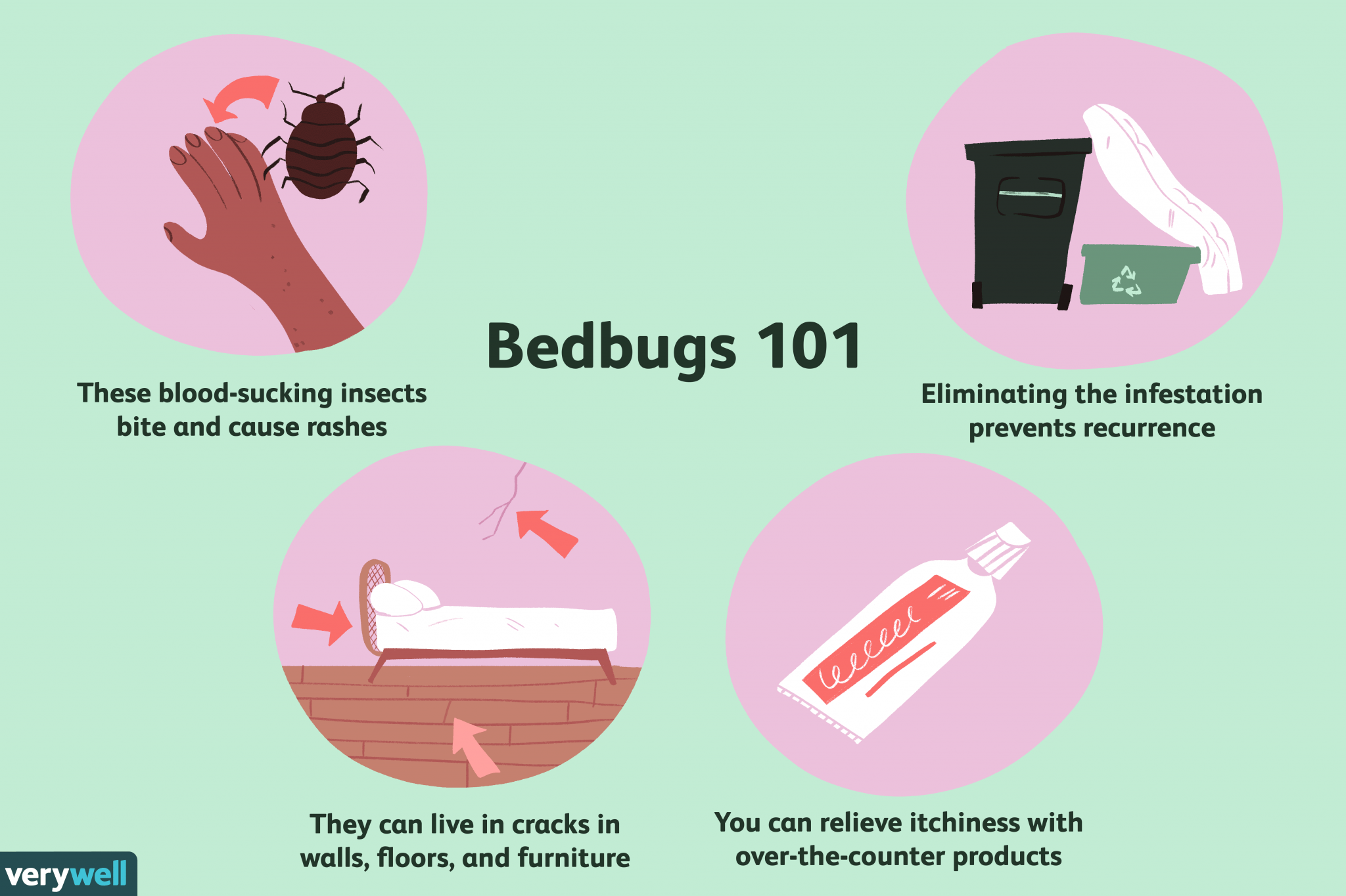 Instant Home Remedy For Bed Bug Bites