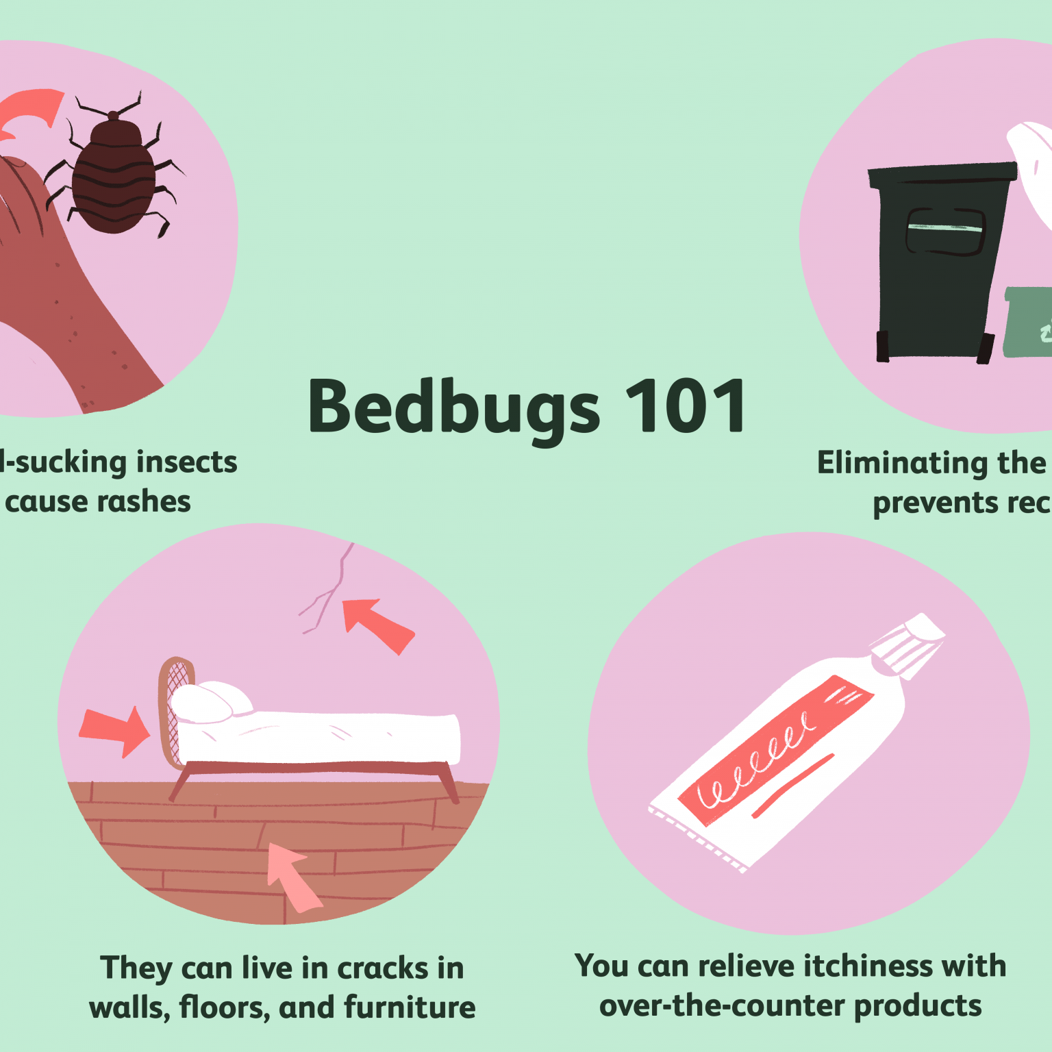 How To Deal With Bed Bug Bites Pest Phobia
