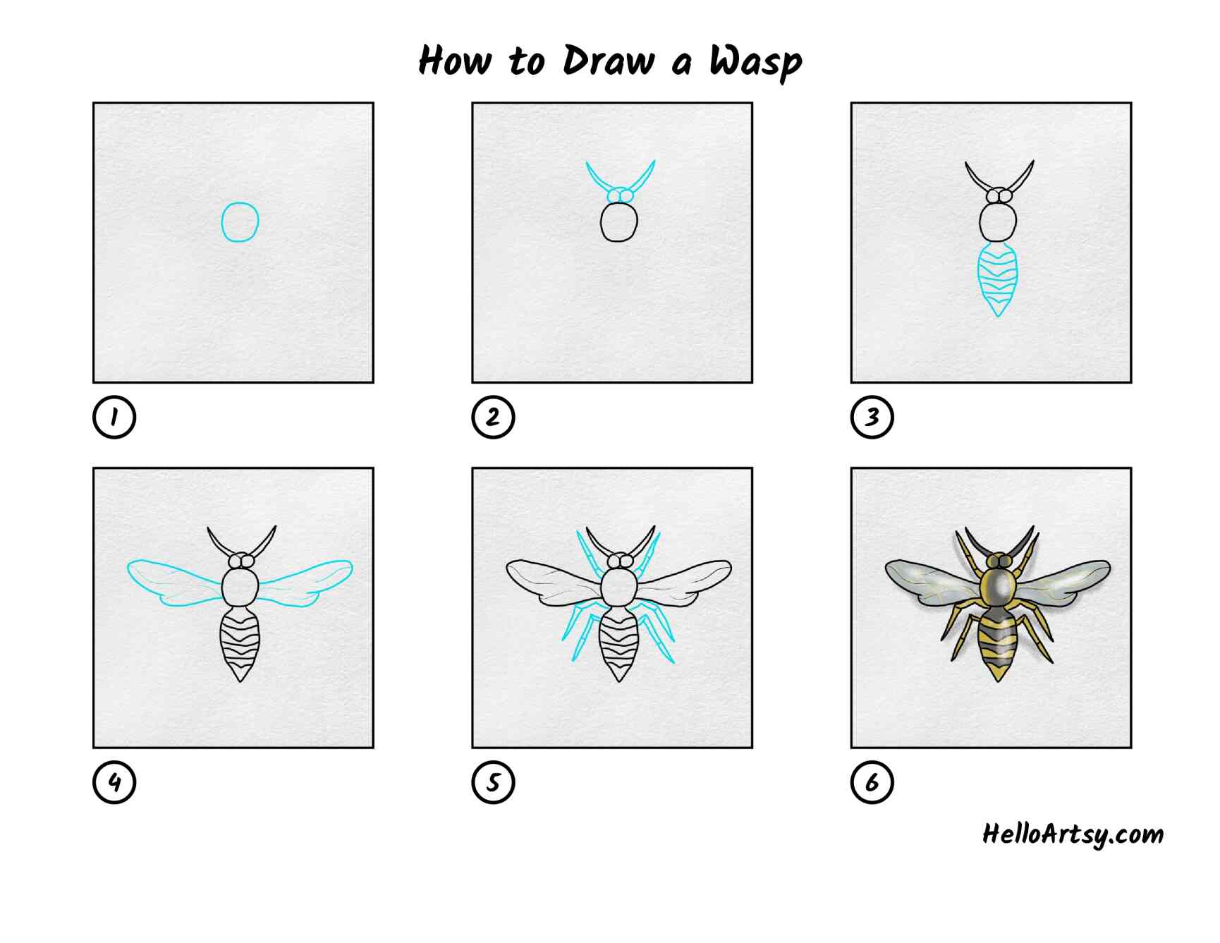 How To Draw A Wasp Step By Step Pest Phobia