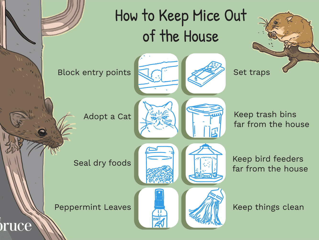 How To Get Rid Of Rats Outside My House Pest Phobia