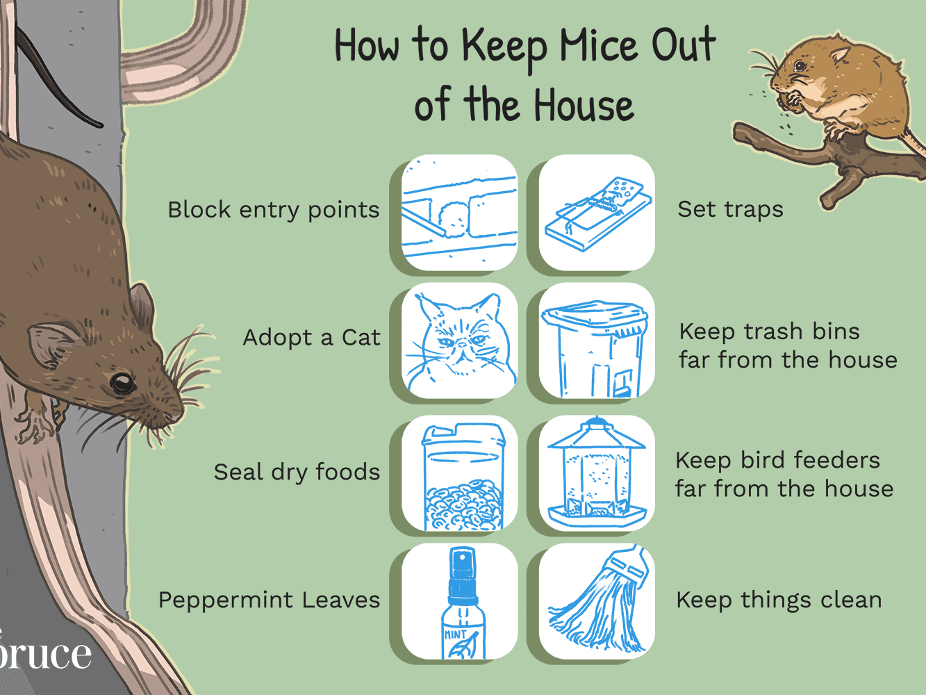 How To Get Rid Of Rats Outside My House PestPhobia