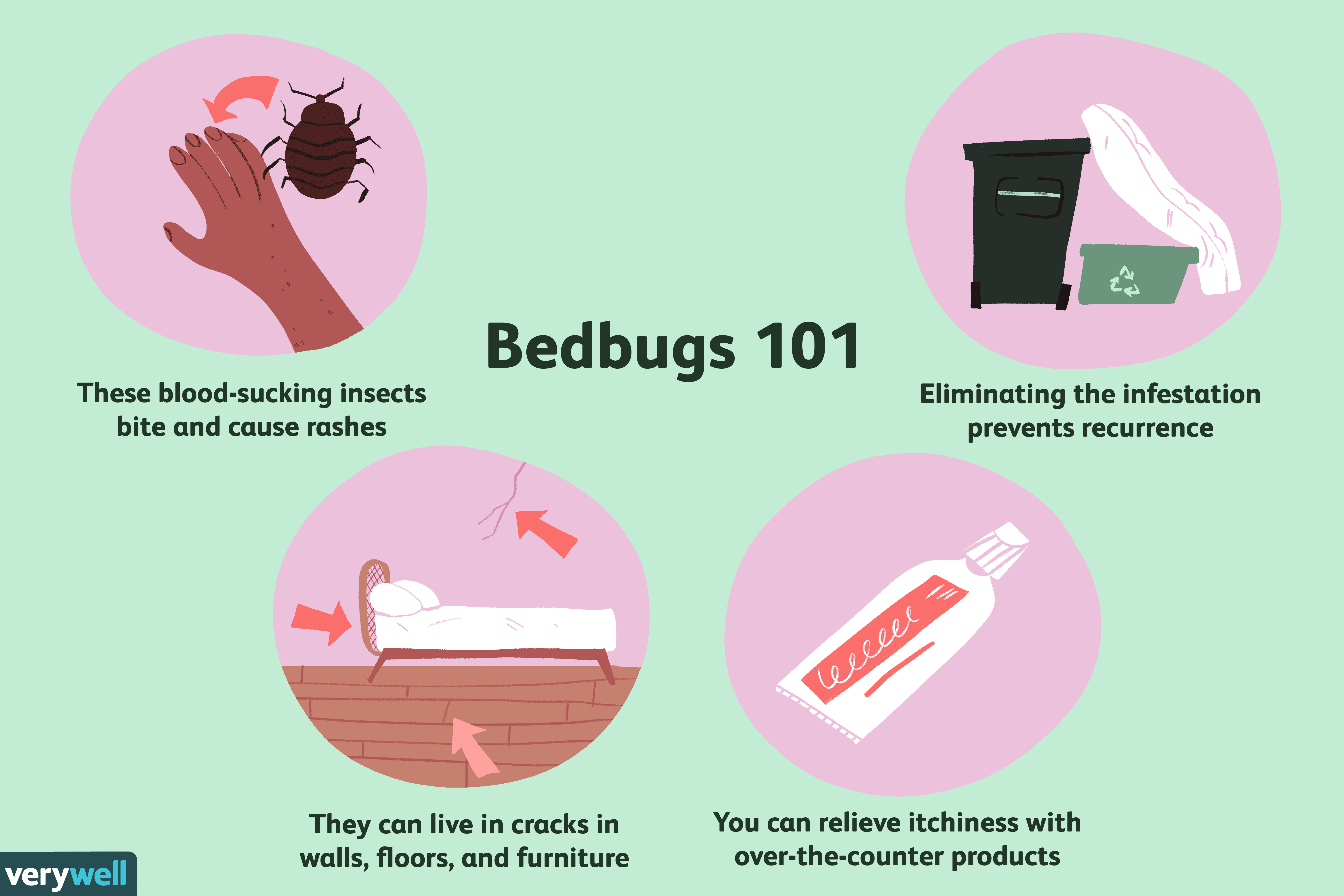 itchy-bed-bug-bites-treatment-pest-phobia