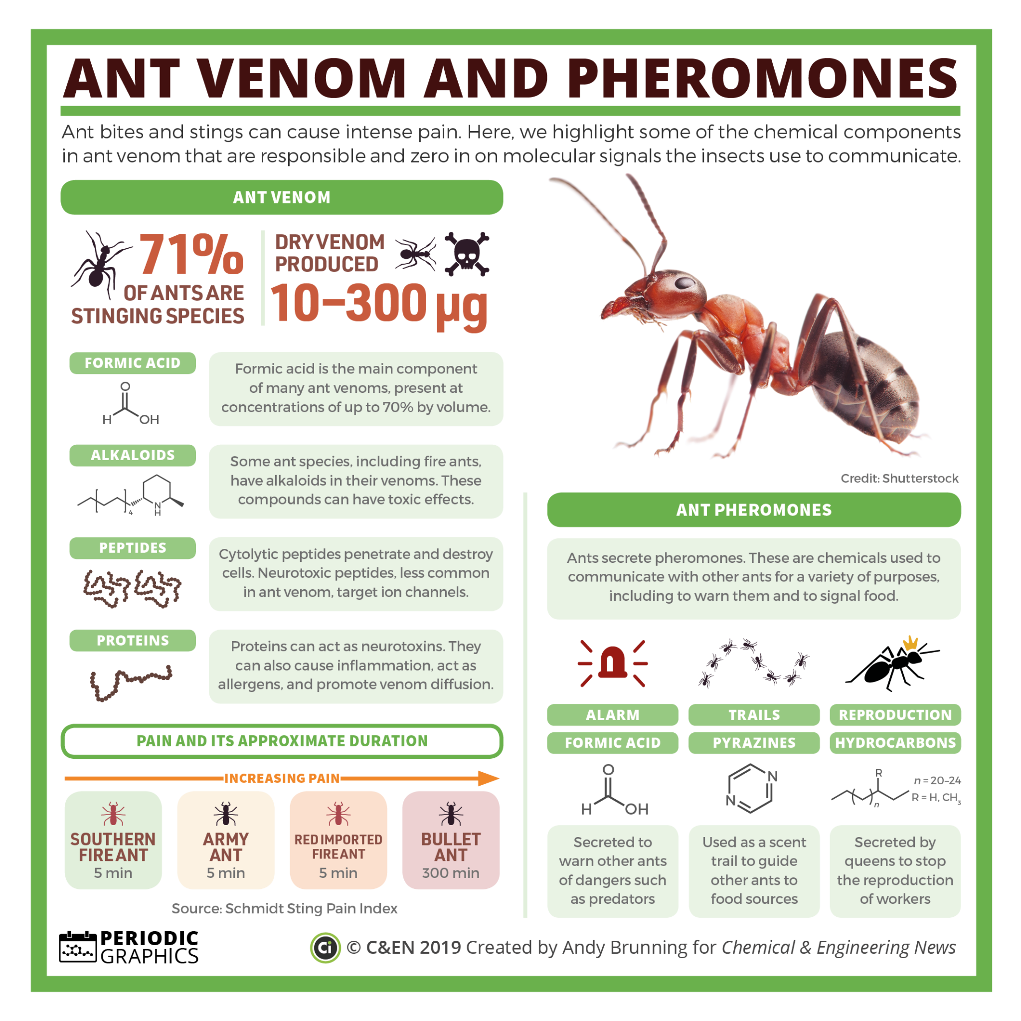 Pheromones Ants – Pest Phobia