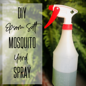 Listerine Mosquito Repellent Recipe - PestPhobia