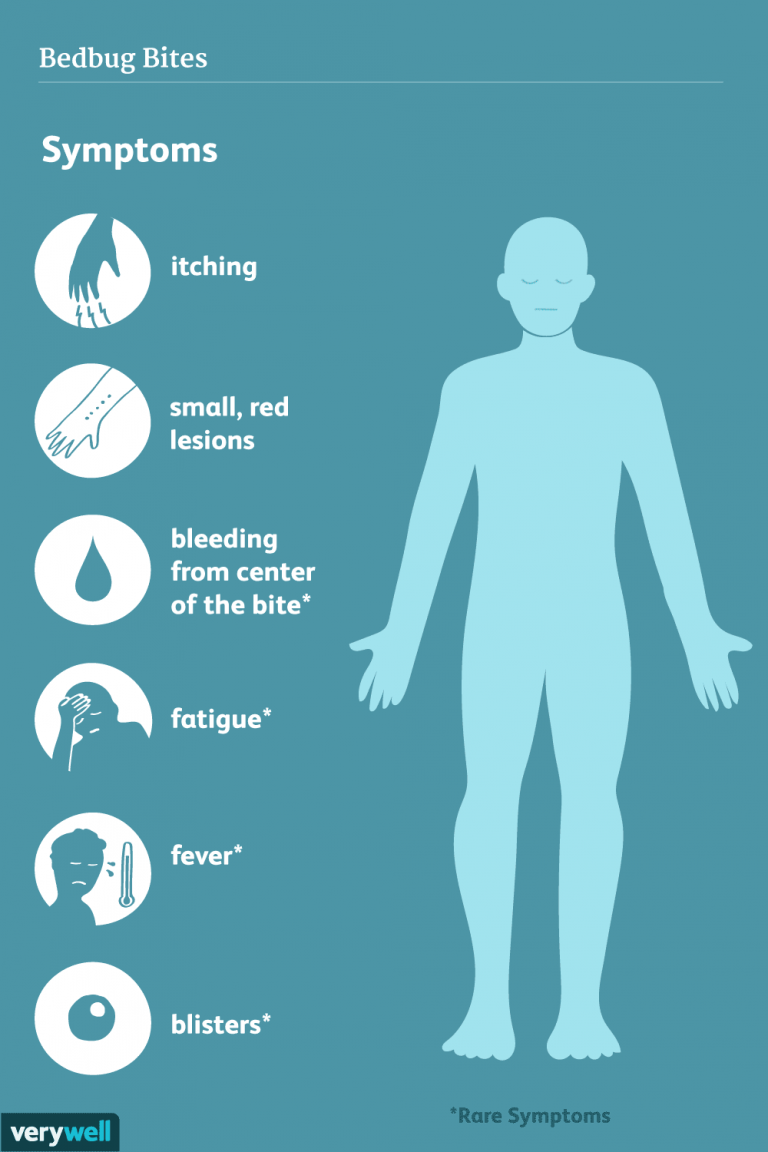 Can Bed Bug Bites Cause Long Term Effects