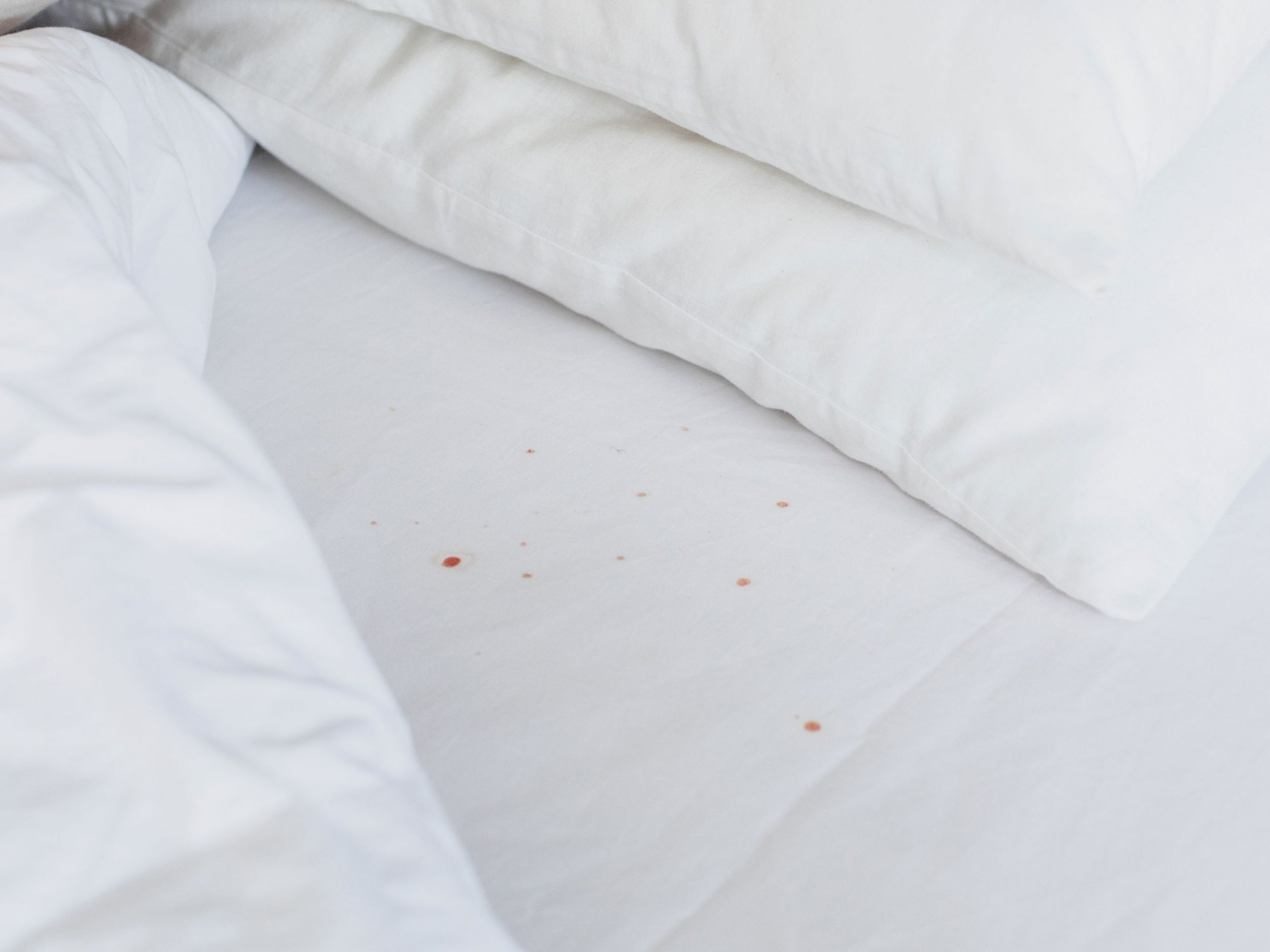 stains on bed mattress