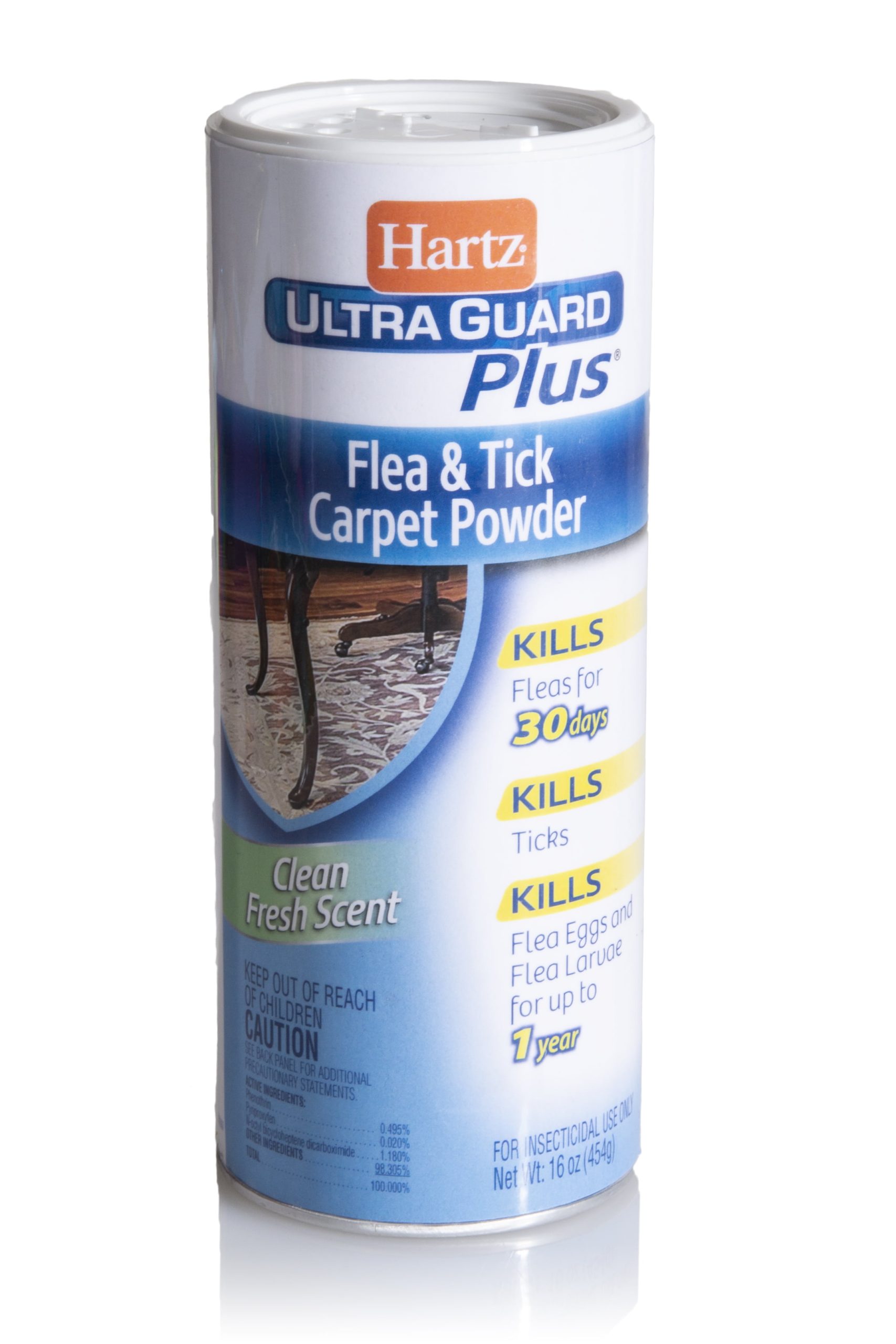 Powder To Kill Fleas In Carpet Pest Phobia