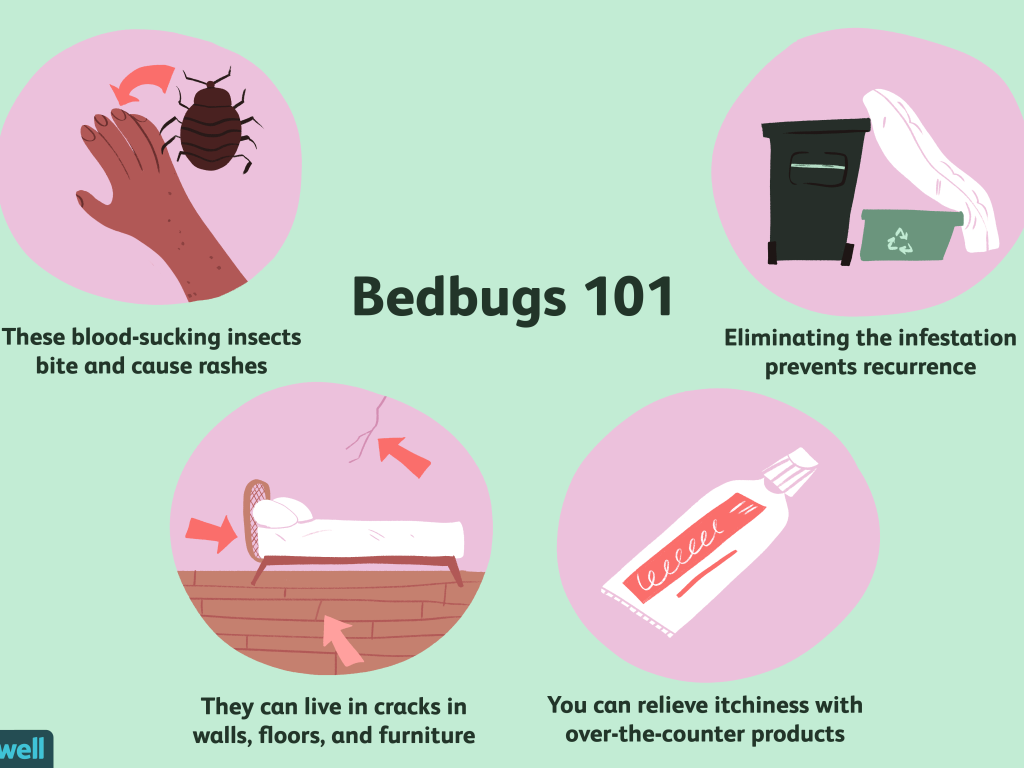 Prednisone For Bed Bug Bites - PestPhobia