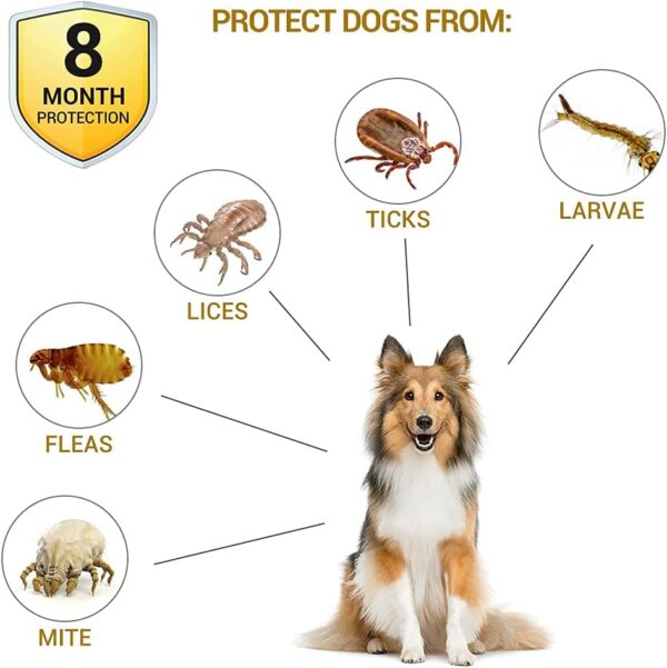 Natural 8‑Month Flea & Tick Collar for Large Dogs - Image 3