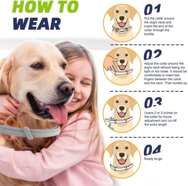 Natural 8‑Month Flea & Tick Prevention Dog Collar - Image 4