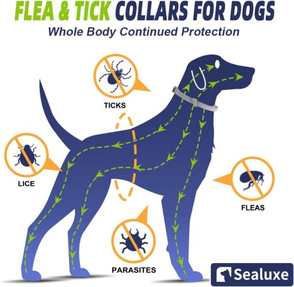 Natural 8‑Month Flea & Tick Prevention Dog Collar - Image 7