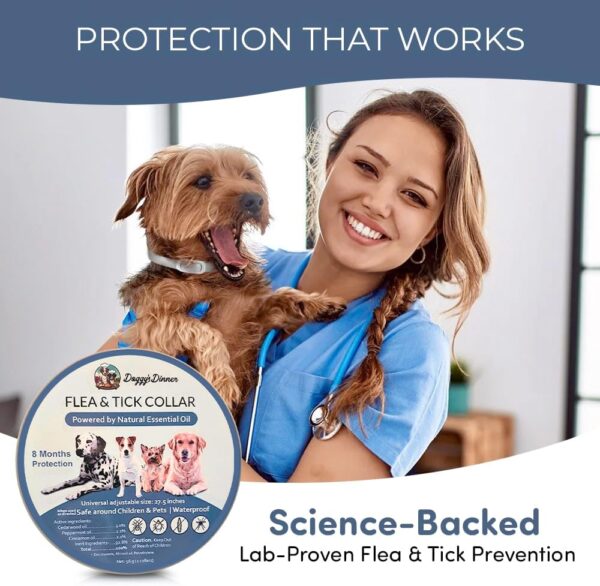 8‑Month Protection Long‑Lasting Natural Flea & Tick Collar - Image 3