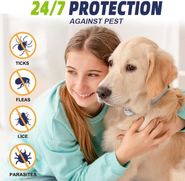 Natural 8‑Month Flea & Tick Prevention Dog Collar - Image 2