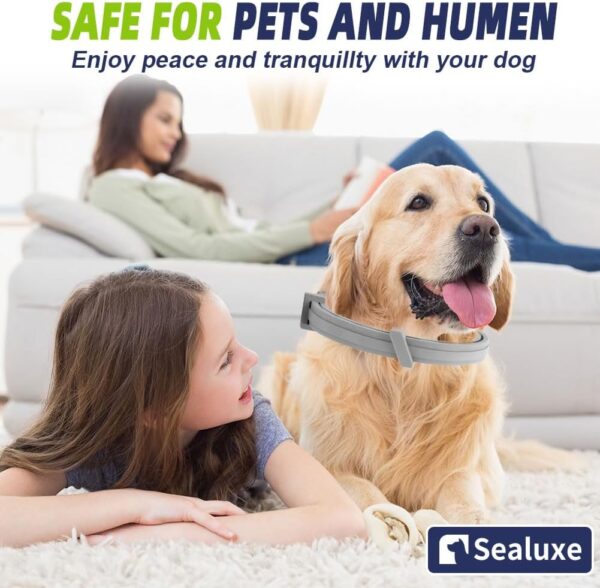 Natural 8‑Month Flea & Tick Prevention Dog Collar - Image 3