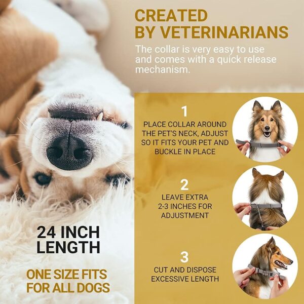 Natural 8‑Month Flea & Tick Collar for Large Dogs - Image 6