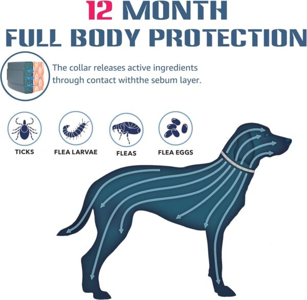 Flea & Tick Collar for Large Dogs+ Free Comb & Tweezers (2‑Pack) - Image 2