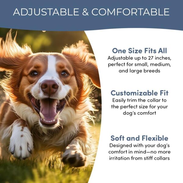 8‑Month Protection Long‑Lasting Natural Flea & Tick Collar - Image 2