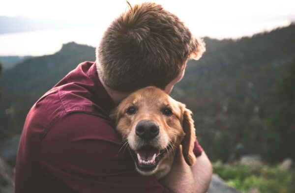 6‑Month Protection Natural Flea & Tick Treatment for Large Dogs - Image 7