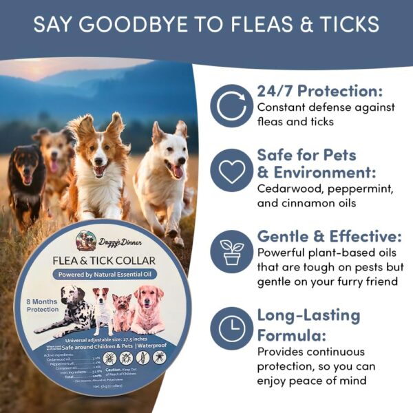 8‑Month Protection Long‑Lasting Natural Flea & Tick Collar - Image 6