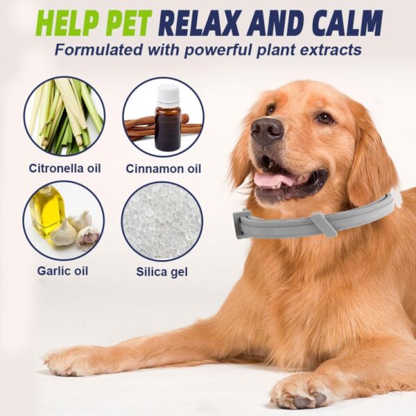 Natural 8‑Month Flea & Tick Prevention Dog Collar - Image 5