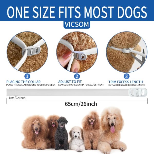 8‑Month Protection Waterproof Flea & Tick Collar for Dogs - Image 5