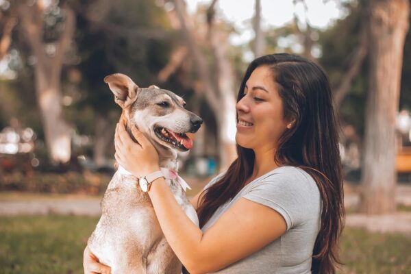 6‑Month Protection Natural Flea & Tick Treatment for Large Dogs - Image 8