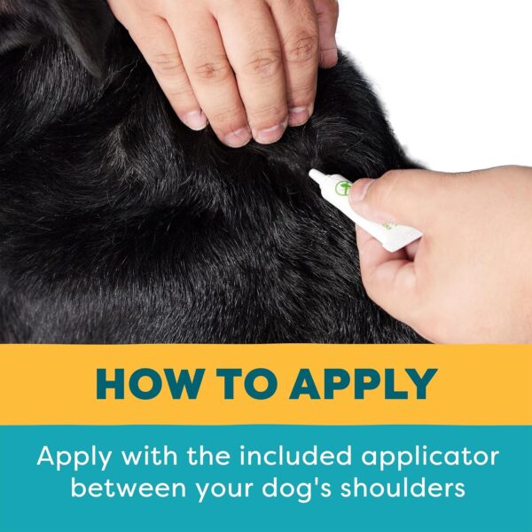 Only Natural Pet EasyDefense Flea & Tick Prevention for Dogs - Image 7