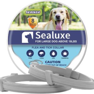 Best Natural Flea Collars For Dogs