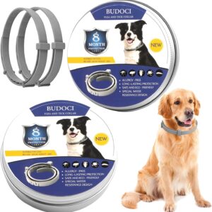 Best Natural Flea Collars For Dogs