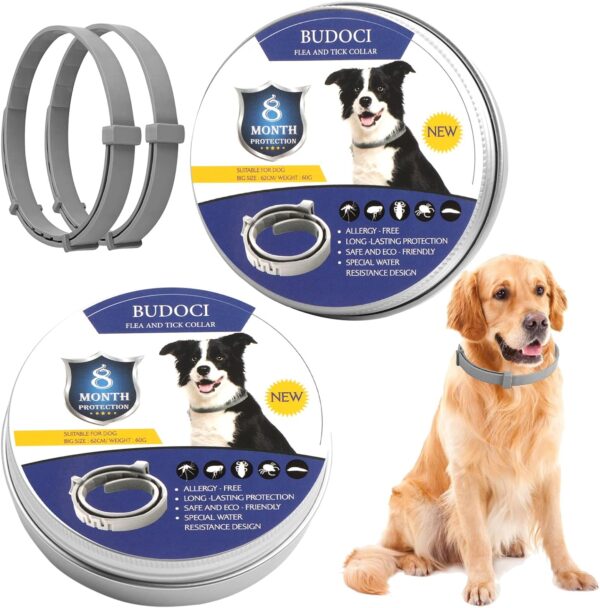 Best Natural Flea Collars For Dogs