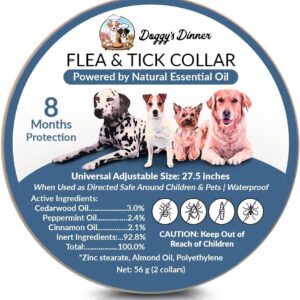 Best Natural Flea Collars For Dogs