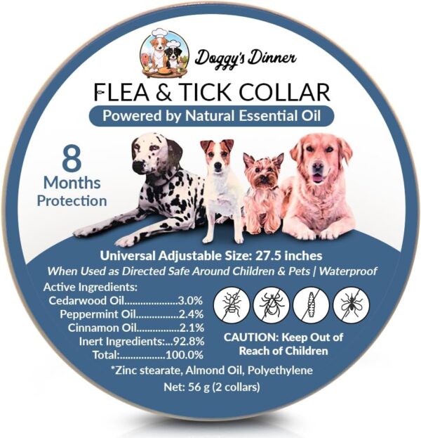 Best Natural Flea Collars For Dogs