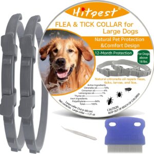 Best Natural Flea Collars For Dogs
