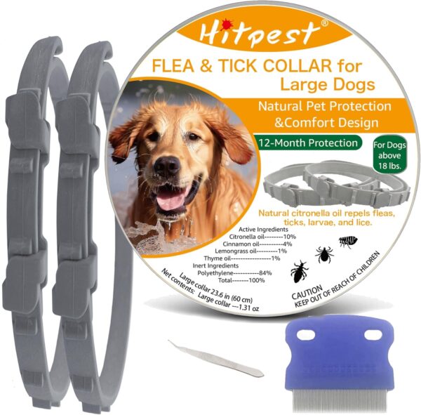 Best Natural Flea Collars For Dogs