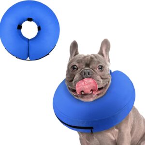 Best Natural Flea Collars For Dogs
