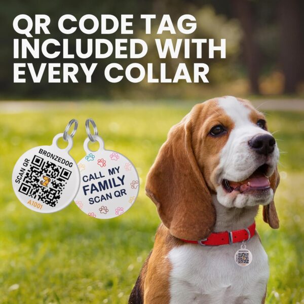BronzeDog Rolled Leather Dog Collar with QR ID Tag - Image 4
