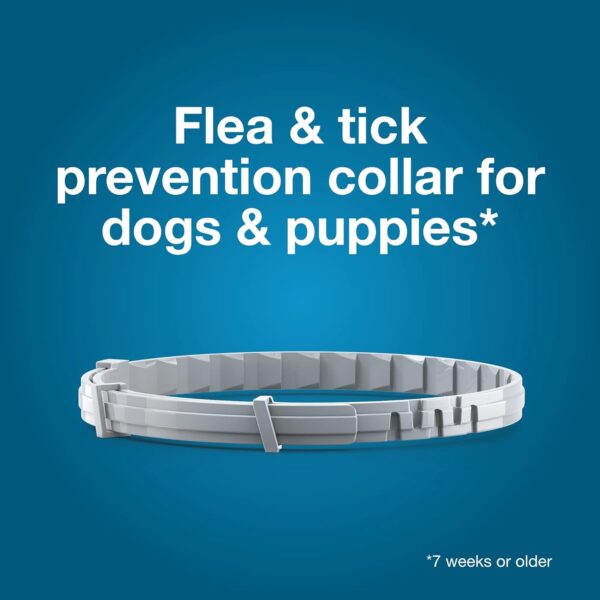 Seresto Small Dog Collar + Pet Protect Omega‑3 Snip‑Tip Supplement - Image 2