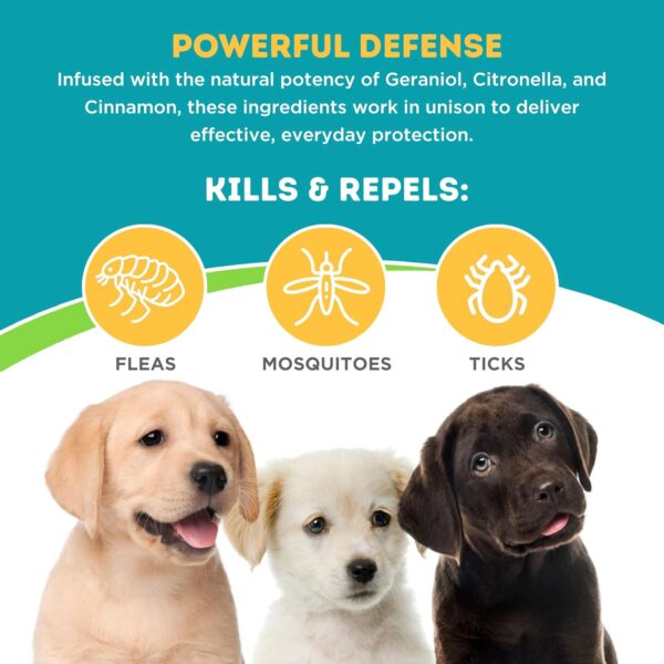 Only Natural Pet 3‑in‑1 Wellness Kit for  4+ Months Dogs - Image 4