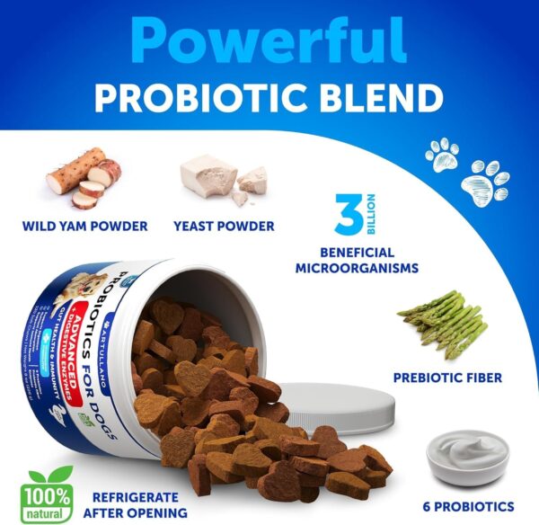 Natural Flea & Tick Prevention + Probiotics for Dogs - Image 6