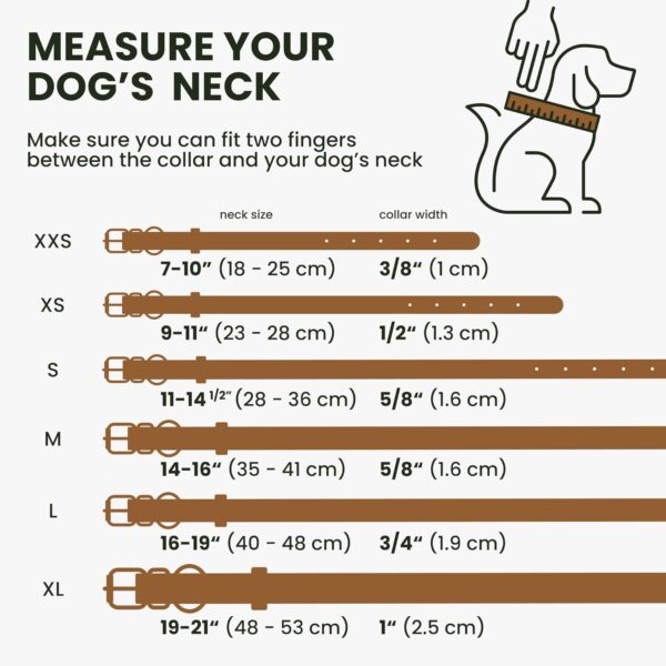 BronzeDog Rolled Leather Dog Collar with QR ID Tag - Image 2